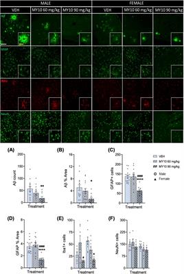 Pharmacological inhibition of receptor protein tyrosine phosphatase β/ζ decreases Aβ plaques and neuroinflammation in the hippocampus of APP/PS1 mice